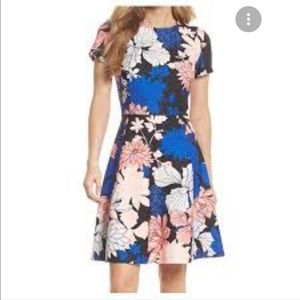Eliza J Blue Floral Fit and Flare Party Wedding Short Sleeve Dress Size 4